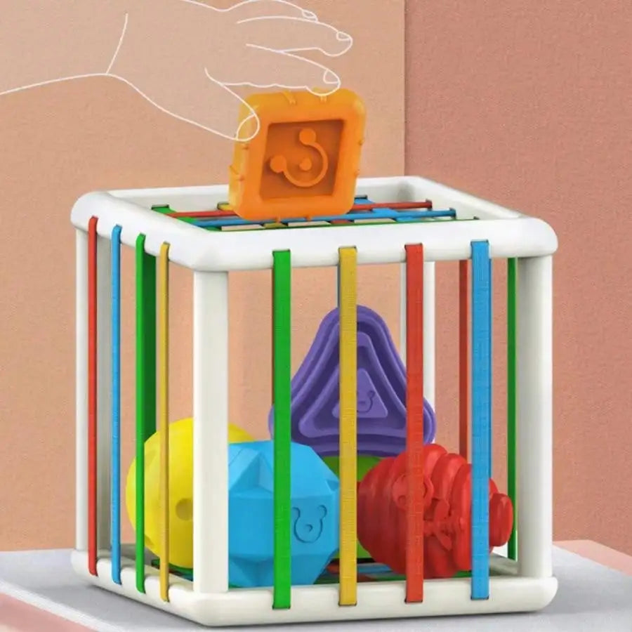 Interactive Shape-Sorting Cube