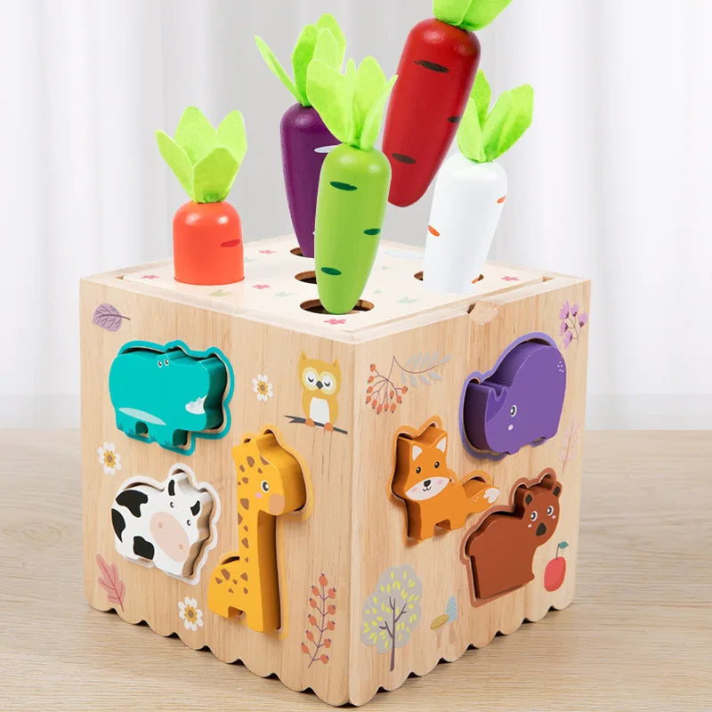 Activity Cube