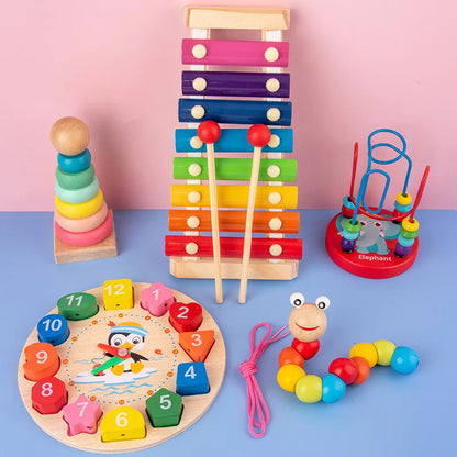 Educational Wooden Toy Set
